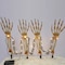 Celebrations Celebrations Halloween Warm White 18 in. LED Prelit Chained Skeleton Arms Pathway Decor 37199-71 - alternate 1